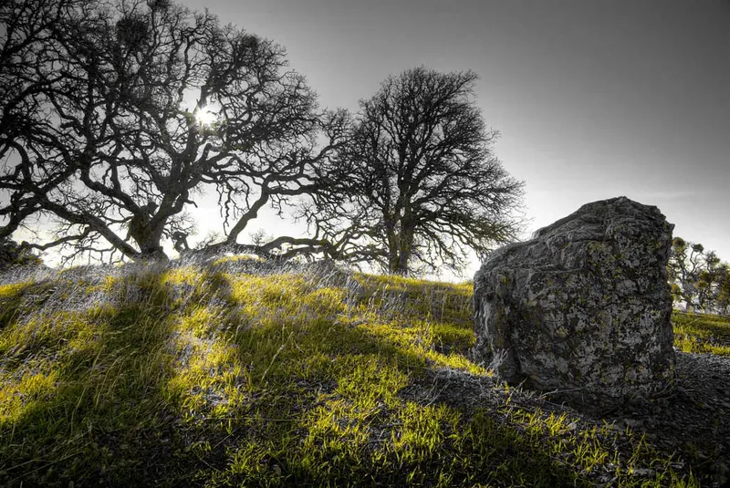 Sample photo with the Colour splash colour filter applied