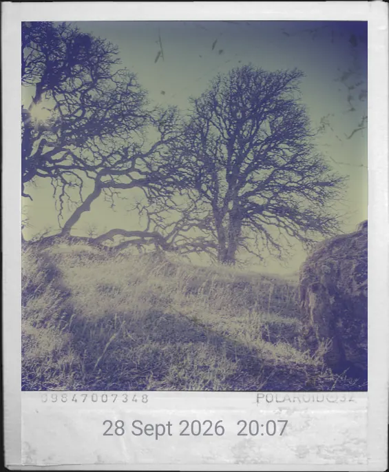 Sample photo with the Dated Polaroid preset + date stamp applied