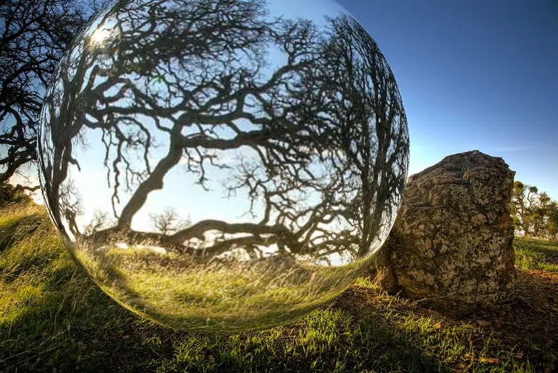 Sample photo with the Fisheye distortion applied