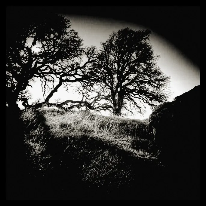 Sample photo with the Holga 35mm preset applied