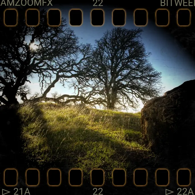 Sample photo with the Old Film Reel preset applied