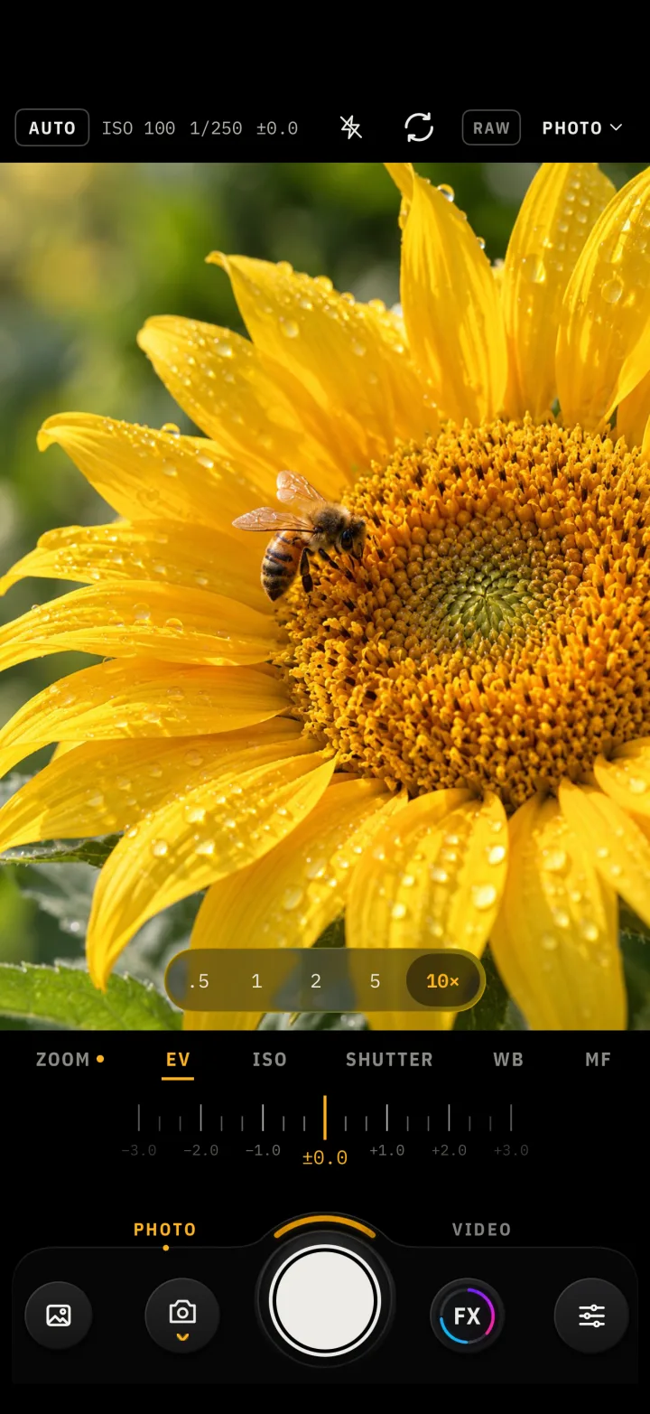 The camera zoomed to 10× on a bee on a sunflower.