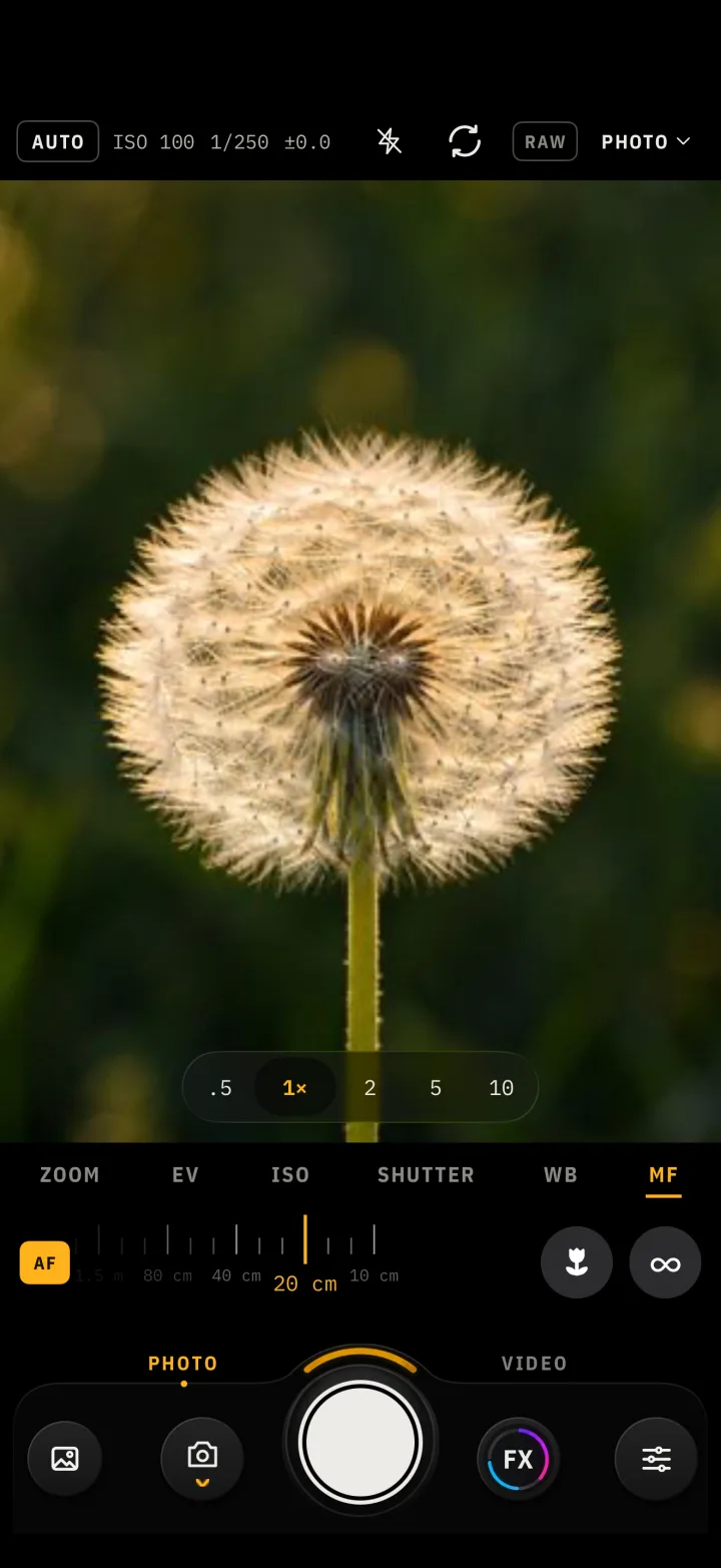 The manual focus dial set to 20 cm over a dandelion.